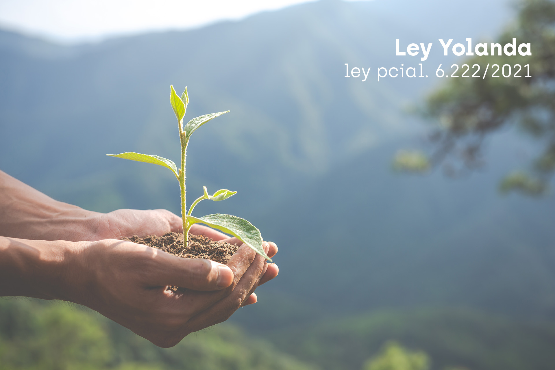 2025 - Formación integral en ambiente para agentes públicos de Jujuy